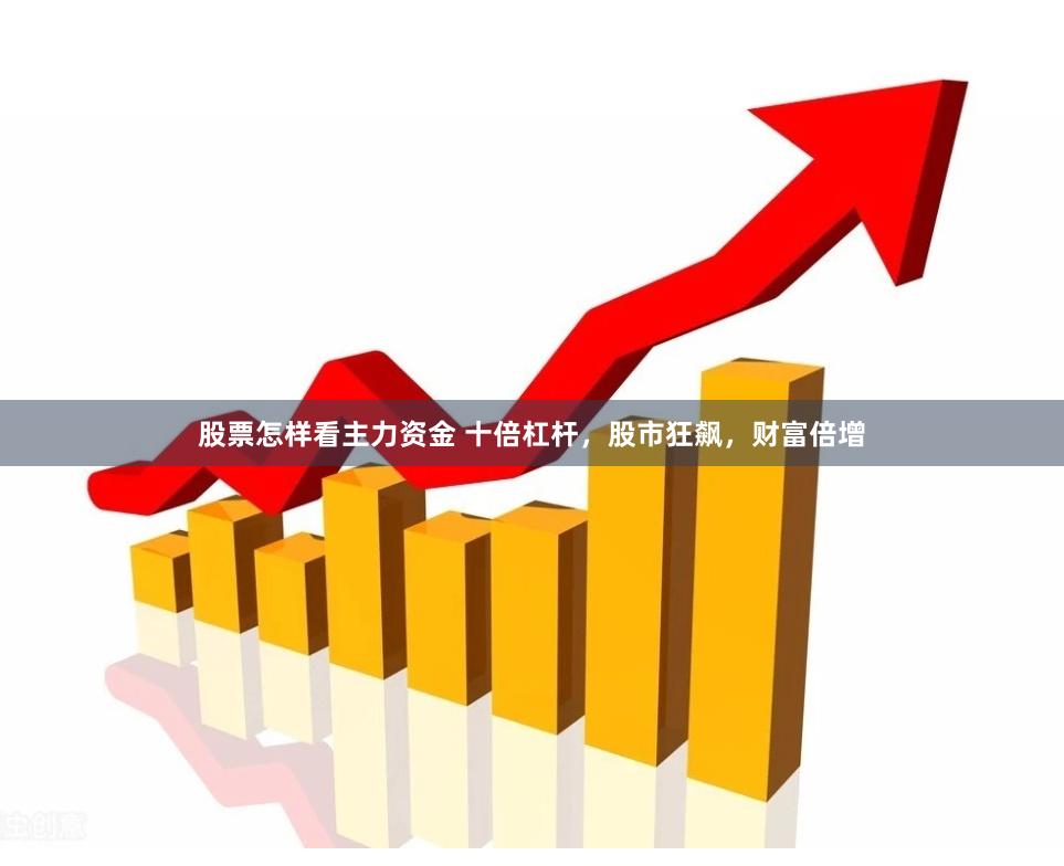 股票怎样看主力资金 十倍杠杆，股市狂飙，财富倍增